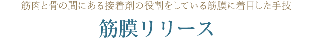 筋肉と骨の間にある接着剤の役割をしている筋膜に着目した手技筋膜リリース